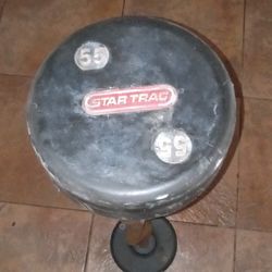 55lb STAR TRAC EZ Curling Barbell Weights 
