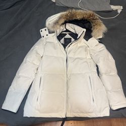 Canada Goose Jacket 