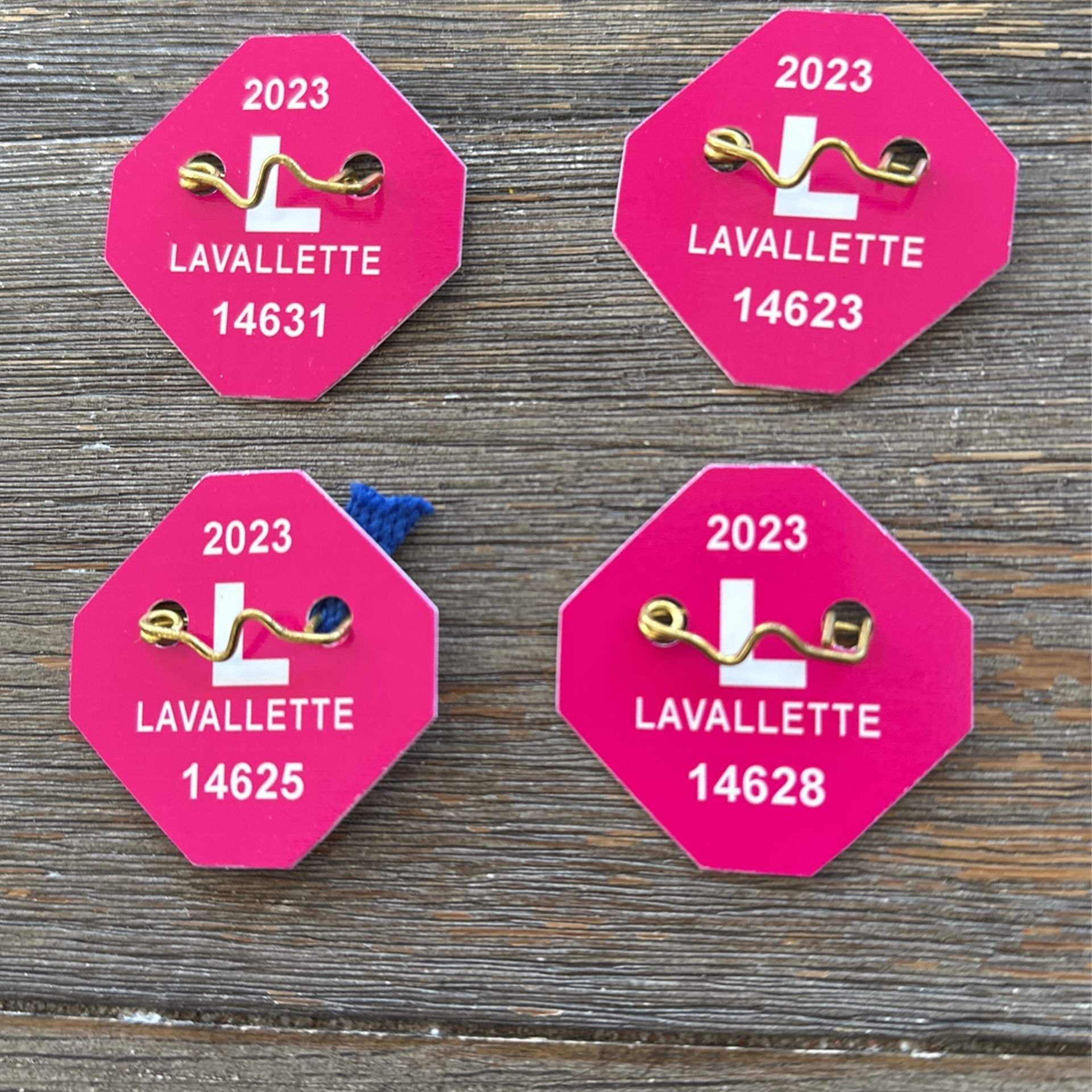 4 Seasonal Passes