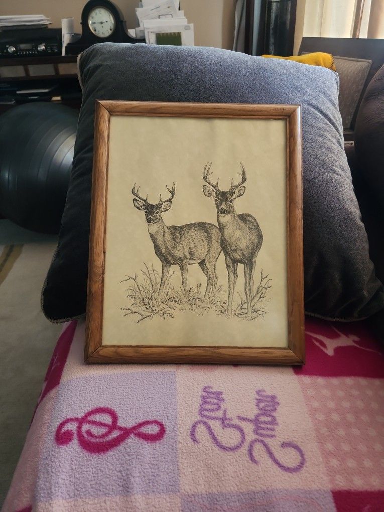 Vintage 1960s Barry Nehr Whitetail Deer Bucks