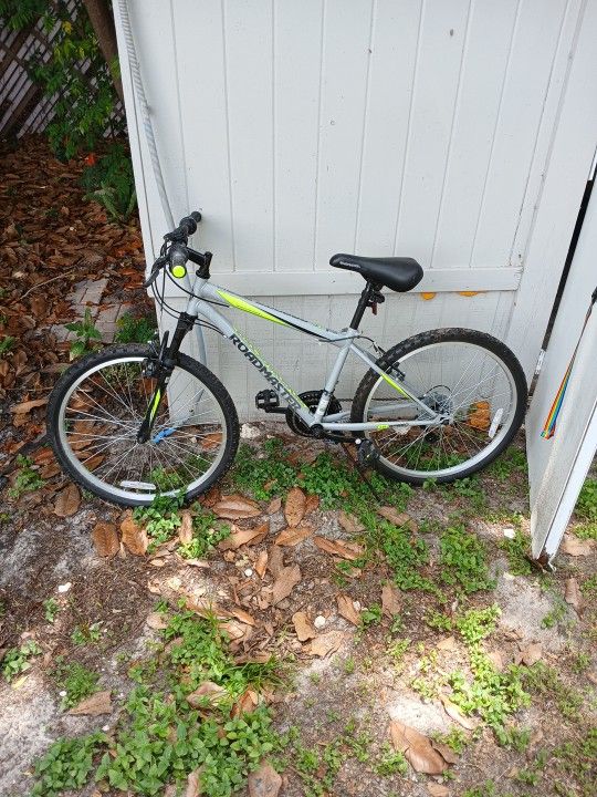 Road master Bike