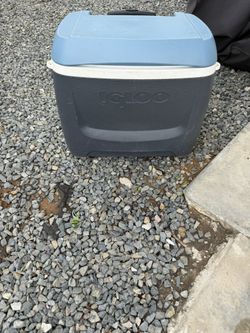 Igloo Cooler