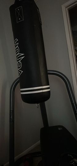 100lb bag and stand and gloves as well brand new