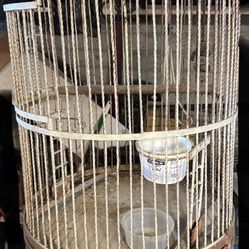 Free Bird Cage