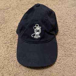 Disneyland Hat