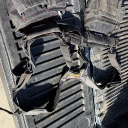 Tool Belt