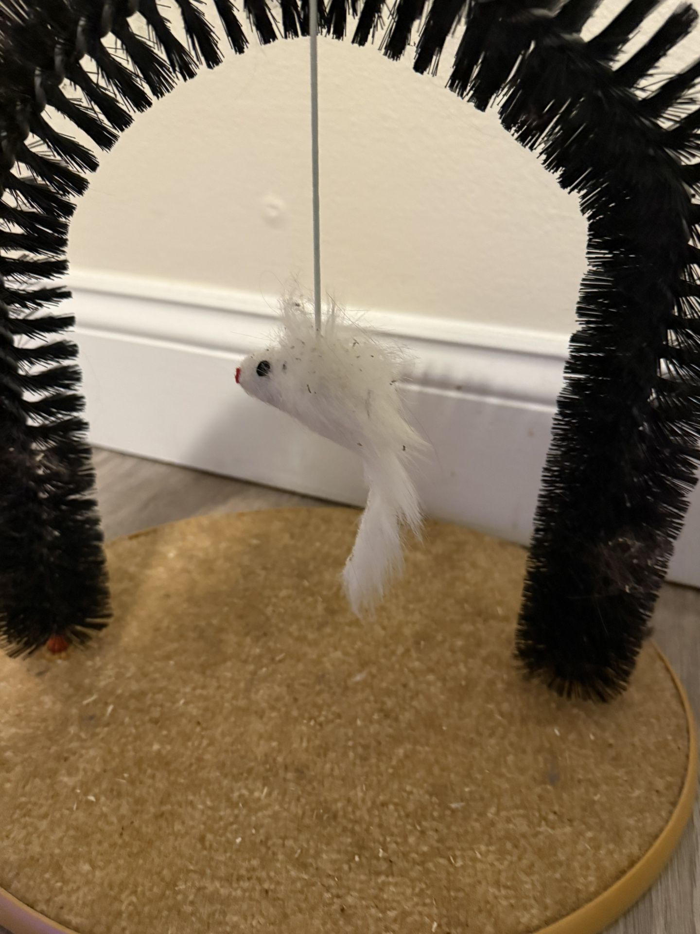 Small Animal Toy, Scratching Pad, and Body Scratcher
