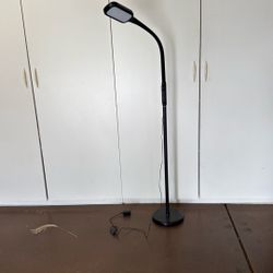 Black Floor Lamp