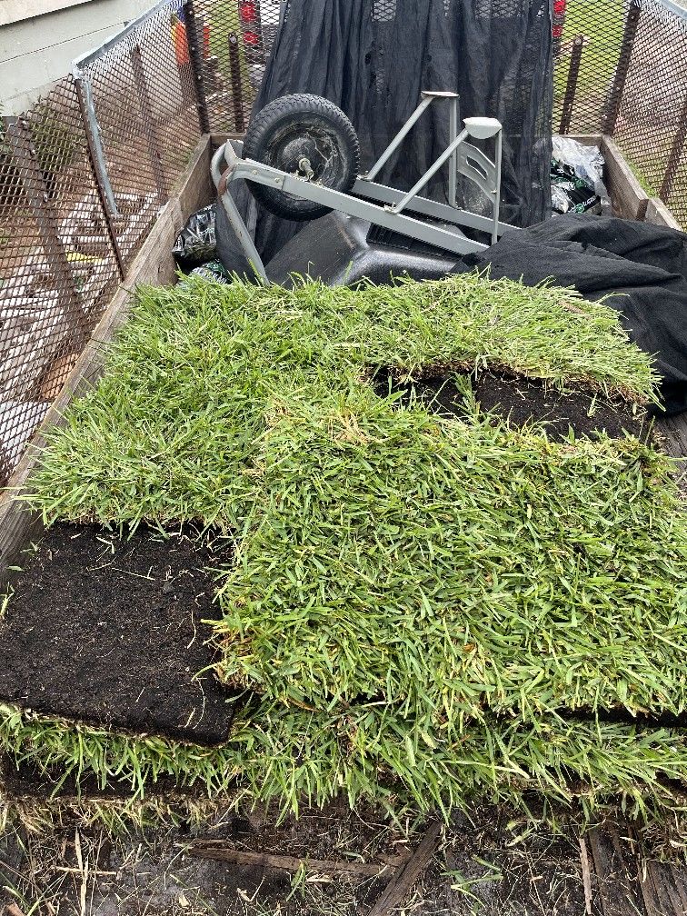 Fresh Sod