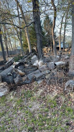 Free tree trunks n branches for burn.
