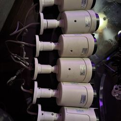 IP Network Surveillance Cameras