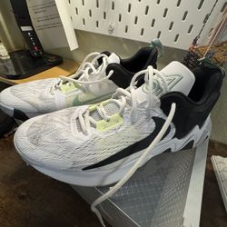 Nike Basketball shoes 