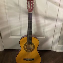 Steal-String Acoustic Guitar 