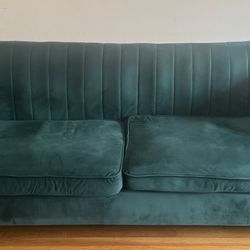 Wayfair Velvet Couch