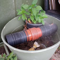 Miscellaneous Planter Pots 