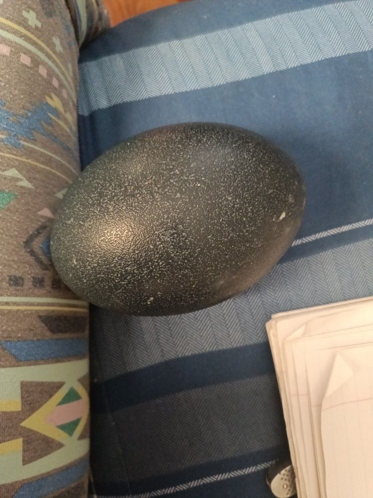 Emu Egg