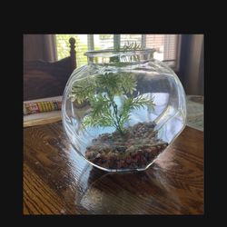 SMALL FISH TANK 