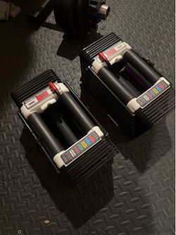 Powerblock dumbells