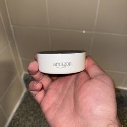 Amazon Alexa, Home Voice Assistant