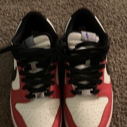 Nike Dunks Low