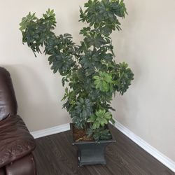 Artificial Plant