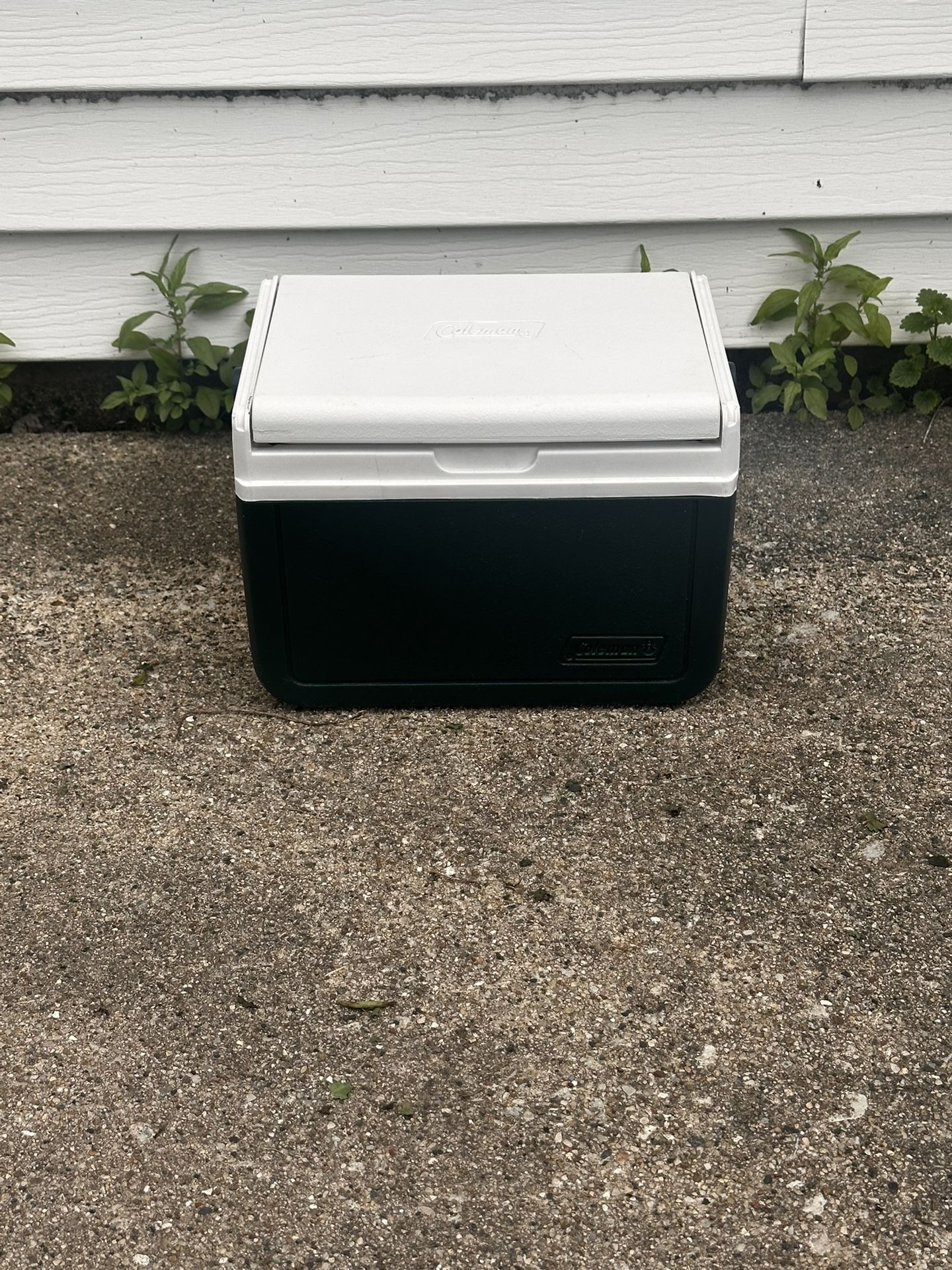 Coleman 5 Quart Cooler