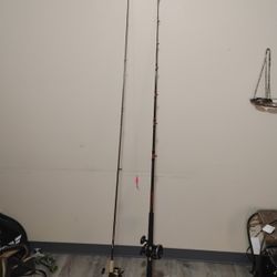 (2) Used Fishing Poles $100