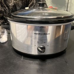 Crock Pot