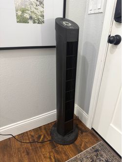Fan