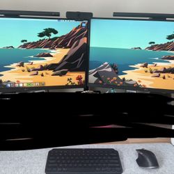 Two (2) LG 27” Monitors w/ Desk Mount