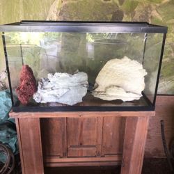 Fish Tanks And Accessories