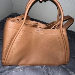 Brown Handbag 