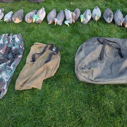 Duck and Goose Decoys