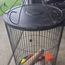 Bird Cage