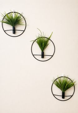 Modern Wall Plant Decor Set of 4 – Matte Black Hoops ✨