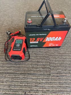 100amp hr lithium battery and charger