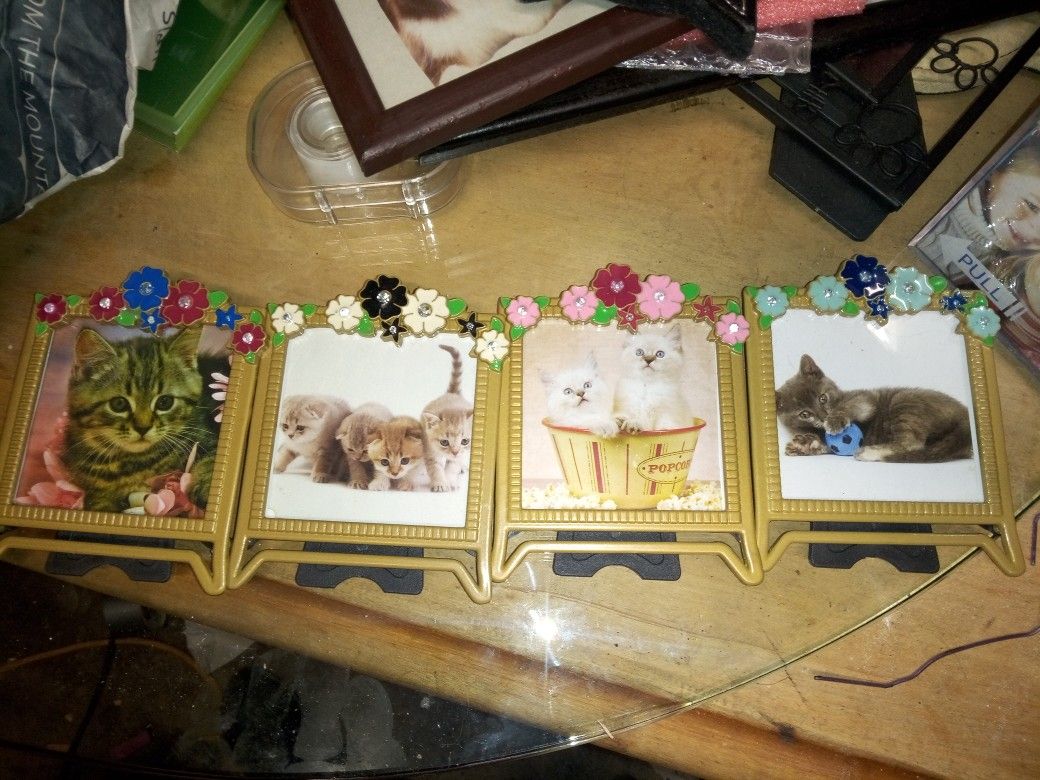 7lil pic frames all for 4$