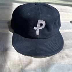 Polar Skate Co Hat
