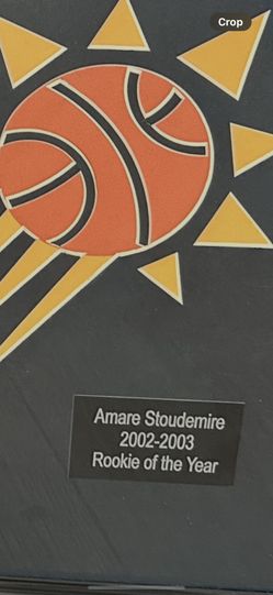 Amare Stoudemire 2002-2003