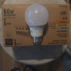 60-Watt Equivalent A19 Non-Dimmable LED Light Bulb
