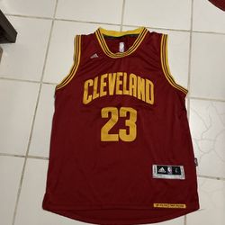 Adidas Cleveland Cavaliers Lebron James Jersey Size L Swingman