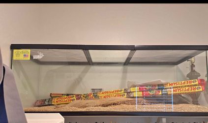 120 Gal Reptile Enclosure & Extras