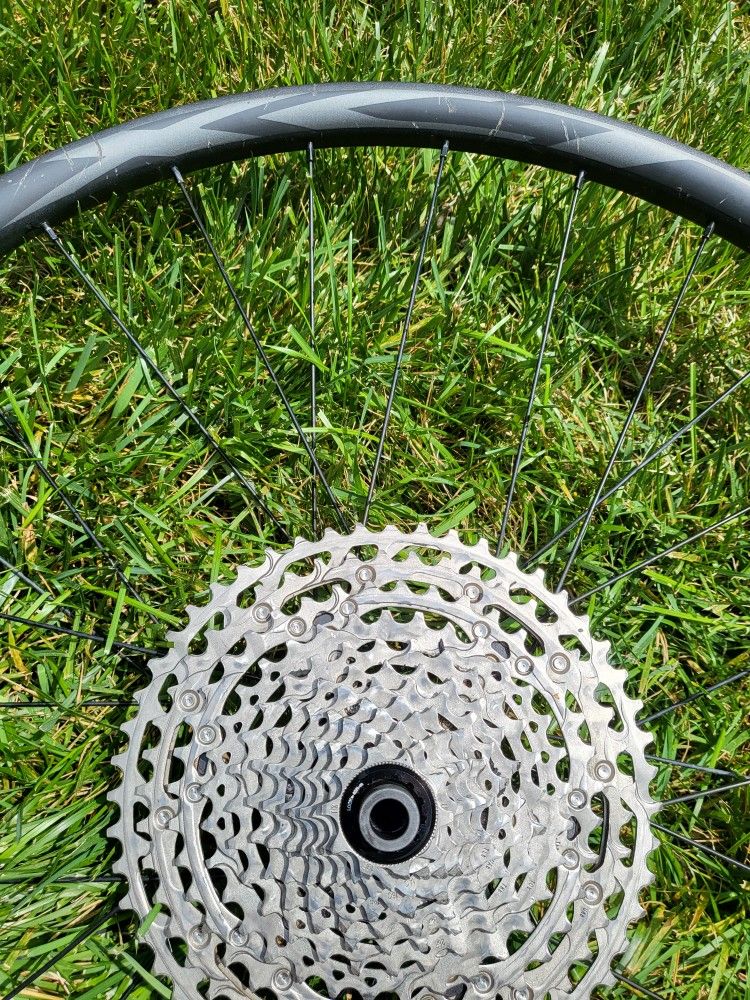 Mtb Giant 29er rear wheel w 12cassette