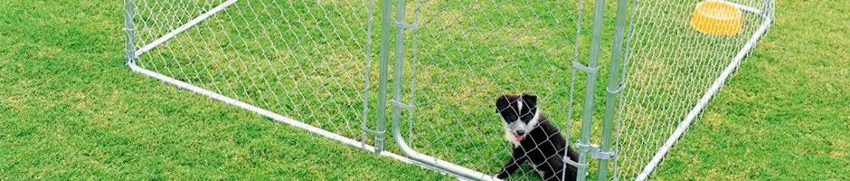 Dog Kennel 5x5