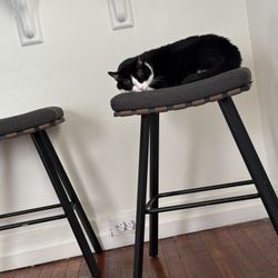 New Hausfame Counter Stools – Set of 2 (Grey, 24”)