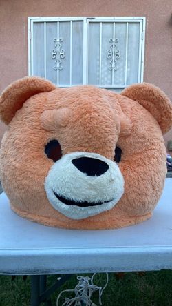 🐻 head