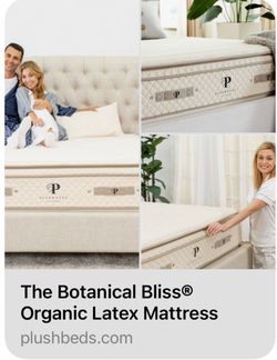 King Mattress Botanical Bliss Organic Latex by Plushbeds with boxspring