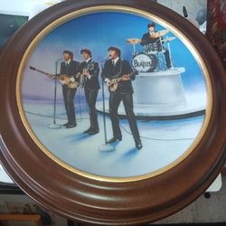 Beetles Collectible Plate