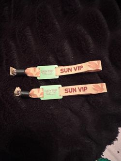 Day Trip - Sunday VIP 2 Tickets