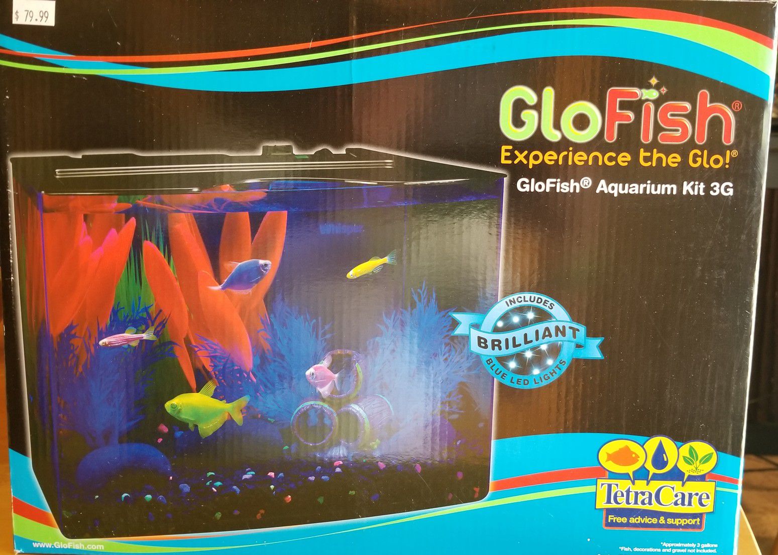 GloFish Aquarium Kit 3G